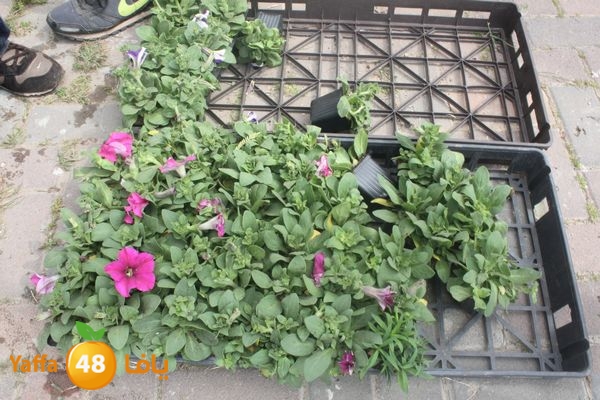 zohormasjednoor34 (13).JPG